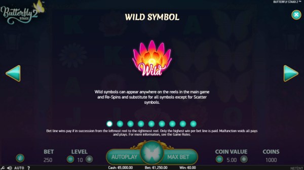 Wild Symbols Rules - Casino Codes