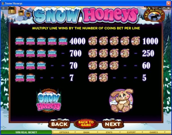 Casino Codes image of Snow Honeys