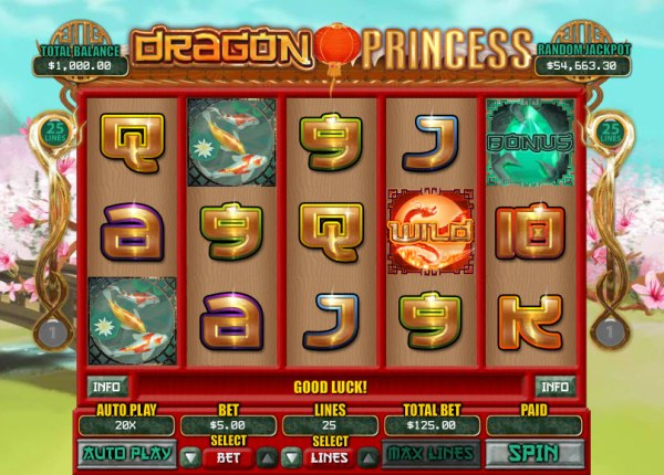Casino Codes image of Dragon Princess