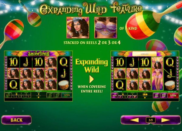 Casino Codes - Expanding Wild feature game rules