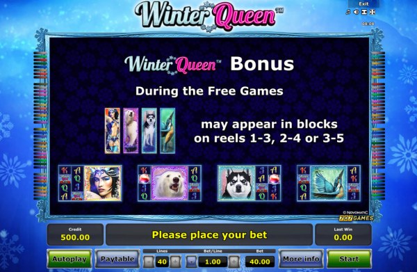 Bonus Features by Casino Codes