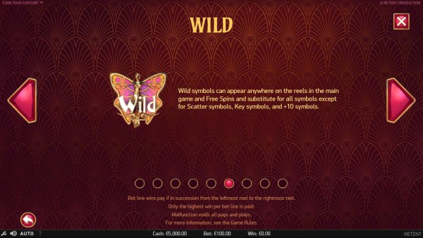 Wild Symbol Rules - Casino Codes