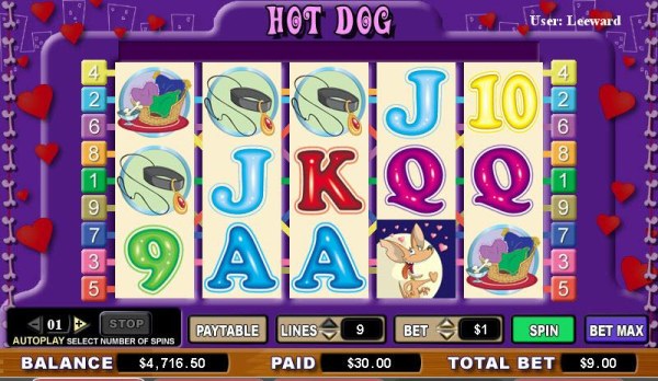 Casino Codes image of Hot Dog