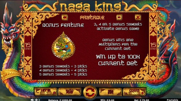 Bonus Feature Rules by Casino Codes