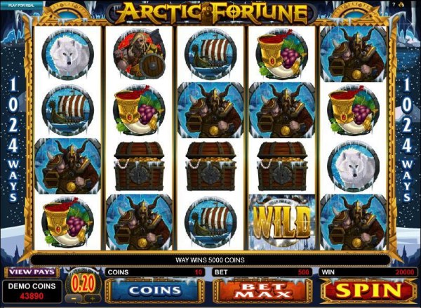 Images of Arctic Fortune
