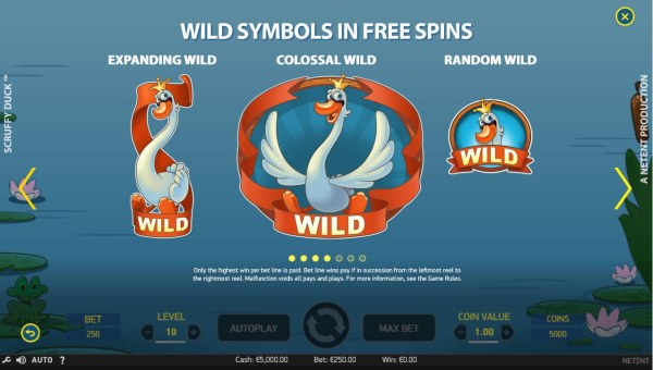 Wild Symbols in Free Spins - Expanded Wild, Colossal Wild and Wild - Casino Codes