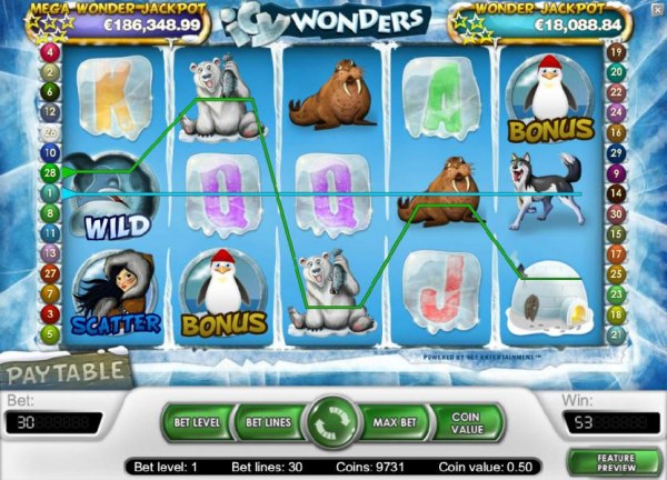 Icy Wonders screenshot