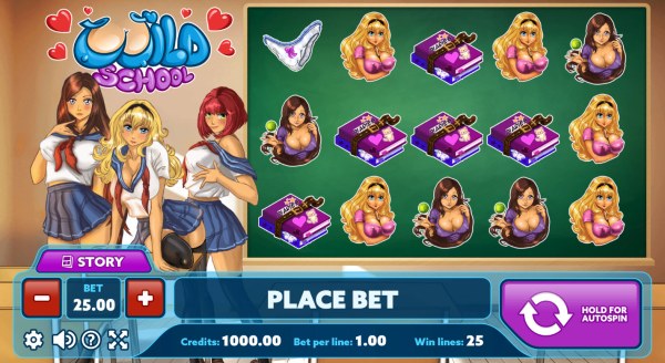 Casino Codes image of Wild School