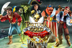 Tortuga Gold the Bay of Fortune