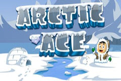 Arctic Ace