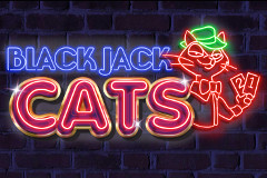 Blackjack Cats