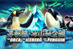 The ORCA, the ICEBERG and the PENGUIN